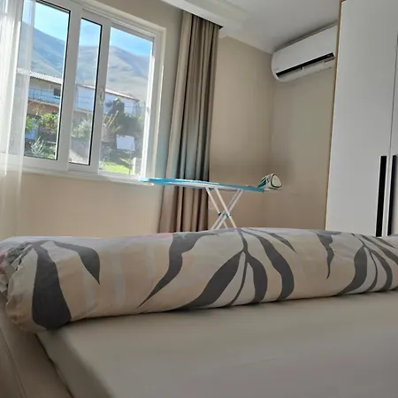 Shiroka's Special Guest 1 *