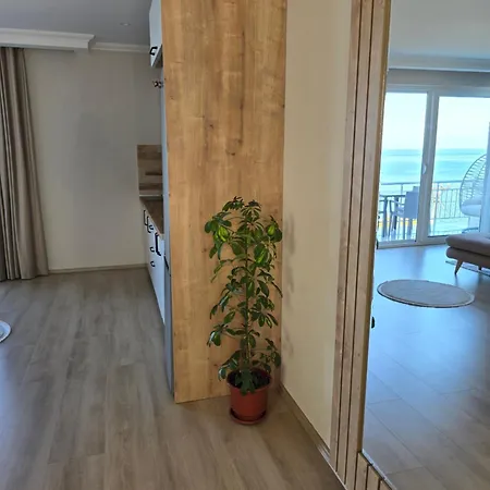 Shiroka's Special Guest 1 Široka